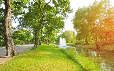 今天哪些公園免費：探索城市綠地的無限可能